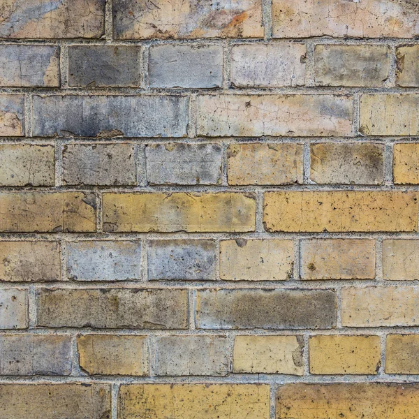 Brick wall background in yellow colors — Stock Photo, Image