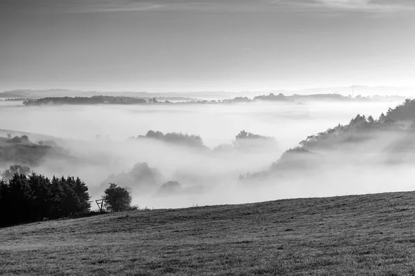 Dimmigt landsbygdens landskap i morgon i eifel — Stockfoto