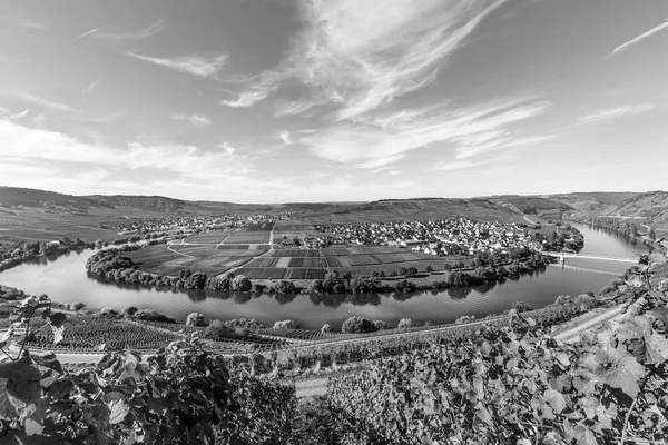 Moselle Nehri döngü Trittenheim, Almanya. — Stok fotoğraf