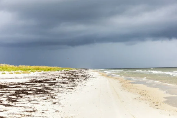 Plage à l'océan Pacifique par mauvais temps — Photo