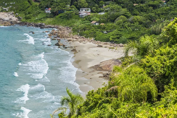 Scenic beach with jungle — Stock Photo, Image