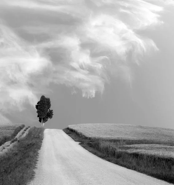 Τοσκάνη τοπίο με μικρό δρόμο και κυπαρίσσια δέντρο — Φωτογραφία Αρχείου