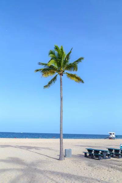 Hermosa playa de Fort Lauderdale — Foto de Stock