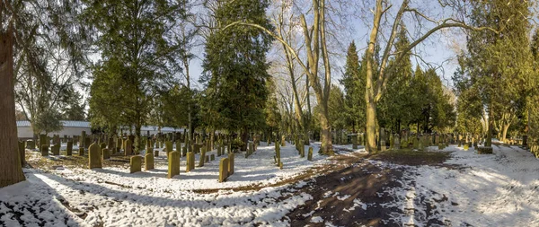 Tombstone on the Old Jewish Cemetery in Frankfurt at the so call — Stock Photo, Image