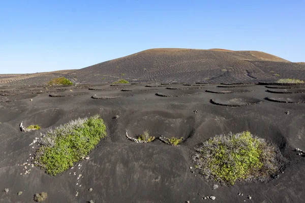 Paisaje volcánico en La Geria en Lanzarote —  Fotos de Stock