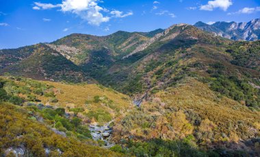 Sequoia national Park nehir Kaweah ile manzara