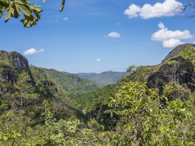 milli park de chapadom bitki örtüsü