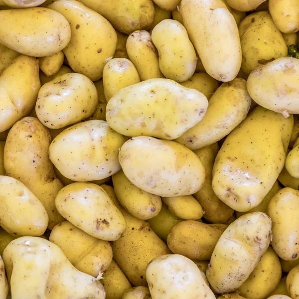 新鲜的土豆在市场上 — 图库照片