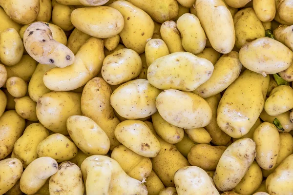 Свежий картофель на рынке — стоковое фото