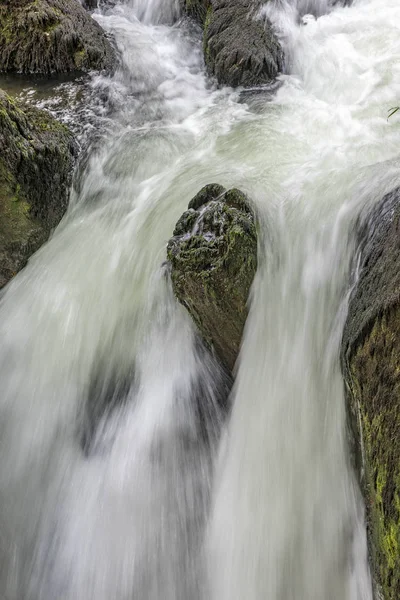 Detalhe de musgo coberto de pedra em cachoeira parece um rosto — Fotografia de Stock