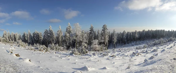 Paisaje invernal en la nieve en la montaña Feldberg en Hesse — Foto de Stock
