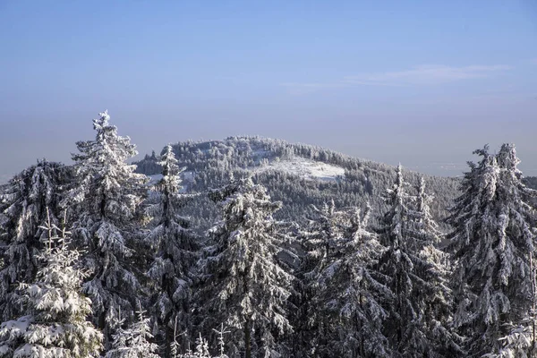 Χειμωνιάτικο τοπίο στο χιόνι στο βουνό Feldberg σε Έσση — Φωτογραφία Αρχείου