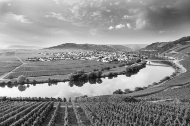 Trittenheim, Almanya mavi gökyüzü ile ünlü Moselle Sinuosity