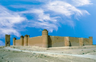 Qasr al-Hayr al-Meşgin kale Alsukhnah, Suriye Suriye çölde. 728-29 CE çöl fauna zengin bir alanda Emevi Halife Hişam b. Abd al-Malik tarafından inşa edilmiş.