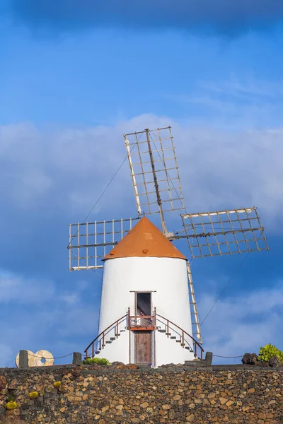 Väderkvarn Tropiska Kaktusträdgård Guatiza Populär Attraktion Lanzarote Kanarieöarna — Stockfoto