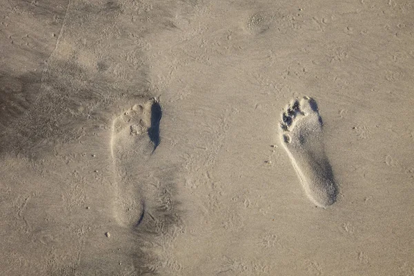 細かい砂のビーチでの足跡 — ストック写真