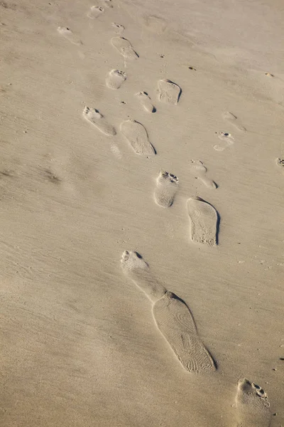 Следы Пляже Мелком Песке — стоковое фото