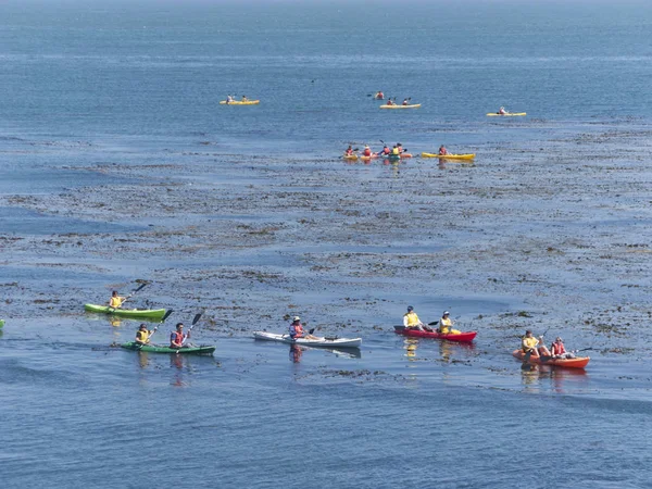 People enjoy paddling at Monterey Bay Aquarium and watching the — Stock Photo, Image