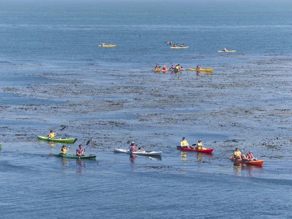 Άνθρωποι απολαμβάνουν κωπηλασία στο Monterey Bay Ενυδρείο και βλέποντας το — Φωτογραφία Αρχείου