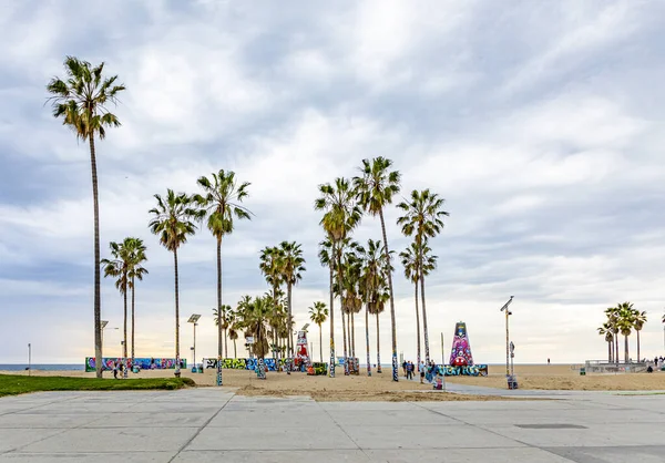 Scenic beach at Venice Beach with palm trees — Stock Photo, Image