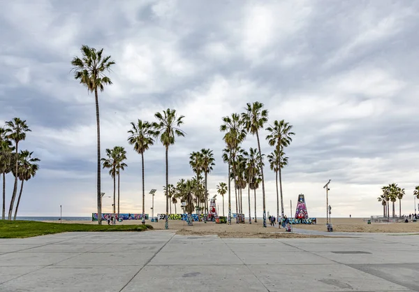 Scenic beach at Venice Beach with palm trees — Stock Photo, Image
