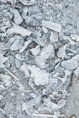 beyaz donmuş yapraklar kışın zeminde