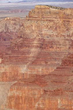 Büyük Kanyon manzarası