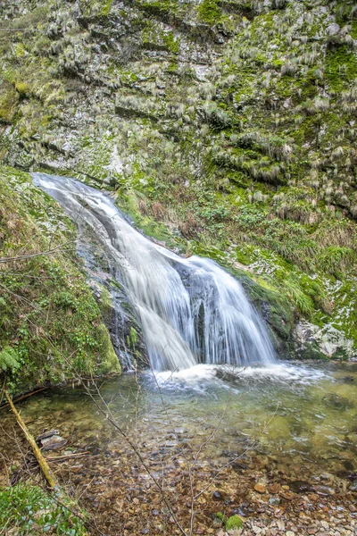 Известный Элизабет водопад в Оппенау в черном лесу regi — стоковое фото