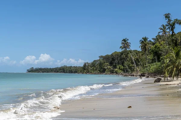 Plage de sable avec palmiers à Cahuita, Costa Rica — Photo