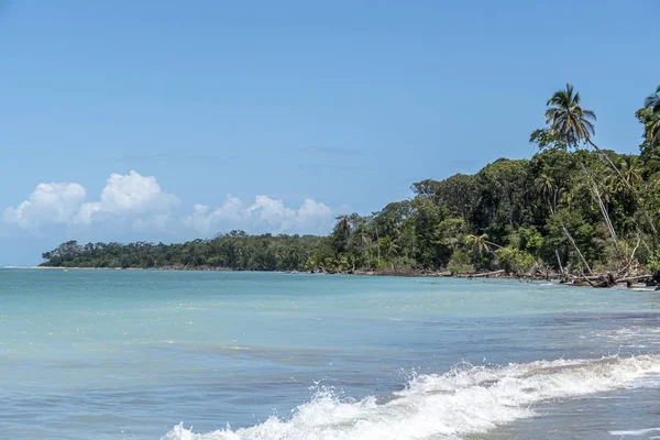 Sandy beach with palm trees in Cahuita, Costa Rica — Stock Photo, Image