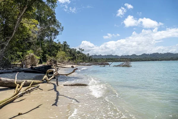 Spiaggia sabbiosa con palme a Cahuita, Costa Rica — Foto Stock