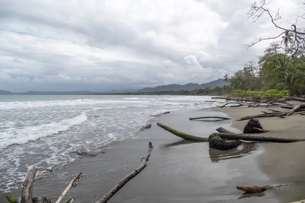 Αμμώδης παραλία με φοίνικες σε Cahuita, Κόστα Ρίκα — Φωτογραφία Αρχείου