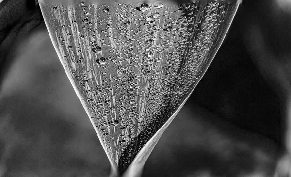 朝露に水滴のついたヤシの葉の詳細 — ストック写真