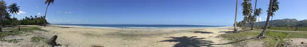Pusta Plaża Republice Dominikańskiej Palmami — Zdjęcie stockowe