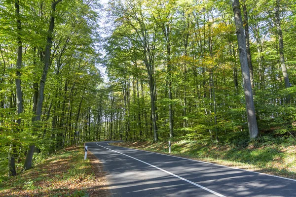 旅の背景としてドイツの森を抜ける風光明媚な道路 — ストック写真