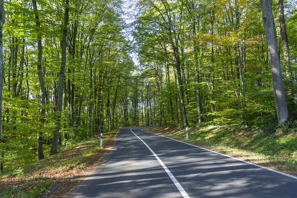 旅の背景としてドイツの森を抜ける風光明媚な道路 — ストック写真