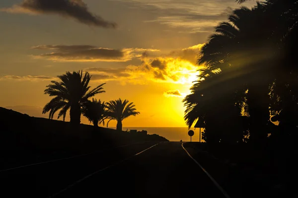 Scenic Sunset Yaiza Road Palm Trees Lanzarote Spain — Stock Photo, Image