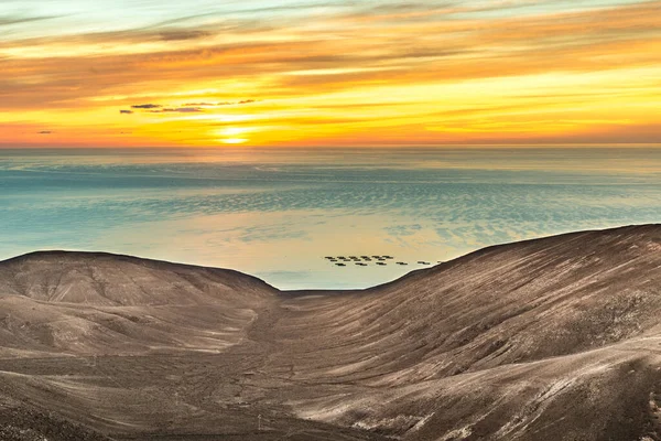 Romantikus Naplemente Lanzarote Kilátással Óceánra — Stock Fotó