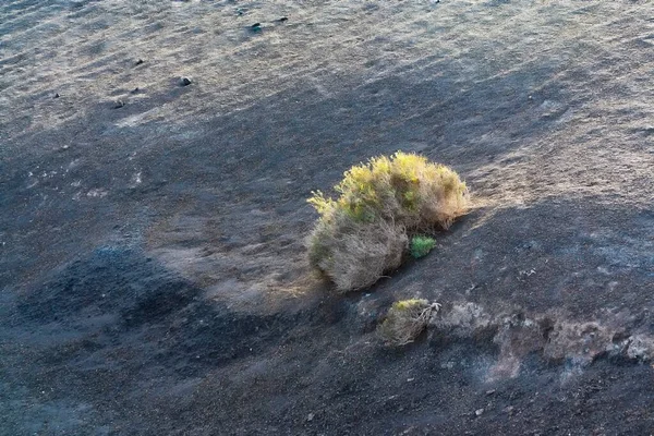 Paisaje Volcánico Atardecer Parque Nacional Timanfaya Lanzarote España —  Fotos de Stock