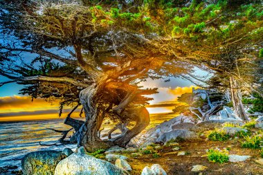 Point Lobos yakınlarında gün batımı, Usa