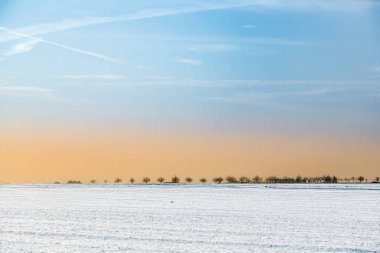 Kış mevsiminde karla kaplı tarlalar