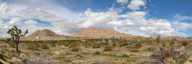 Çöldeki Joshua ağaçlarıyla Kaliforniya 'da manzara