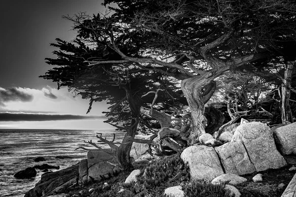 Ηλιοβασίλεμα Στην Ακτή Κοντά Στο Point Lobos Usa — Φωτογραφία Αρχείου