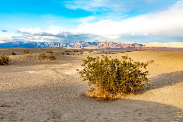 Mooie Mesquite Flats Dood Vallei Woestijn Bij Zonsondergang Licht — Stockfoto