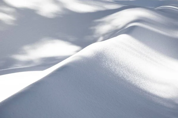 红杉国家公园的雪模式 有柔软的曲线 — 图库照片