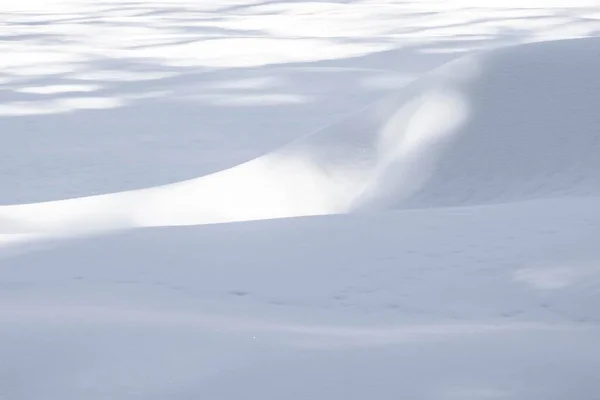 Padrão Neve Parque Nacional Sequoia Com Curvas Suaves — Fotografia de Stock