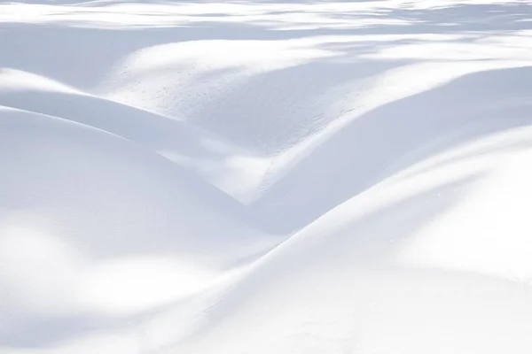 Sequoia Ulusal Parkı Nda Yumuşak Kıvrımlı Kar Deseni — Stok fotoğraf