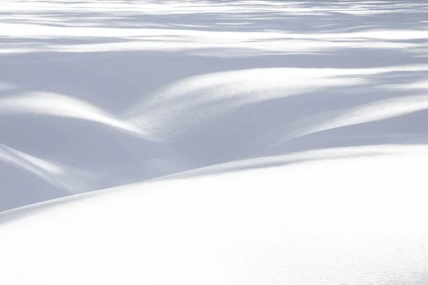 Sequoia Ulusal Parkı Nda Yumuşak Kıvrımlı Kar Deseni — Stok fotoğraf