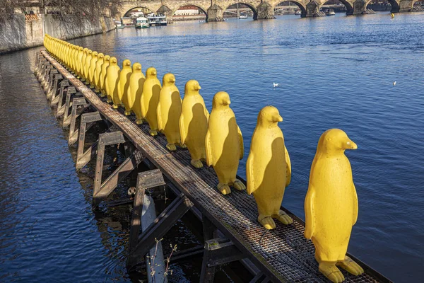 Πράγα Τσεχία Ιανουαρίου 2020 Μια Σειρά Παιχνιδιάρικων Κίτρινων Πιγκουίνων Μοιράζονται — Φωτογραφία Αρχείου