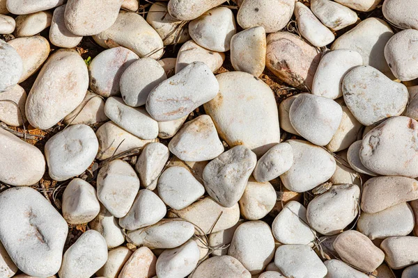 Background Pebble Stones Garden — Stock Photo, Image